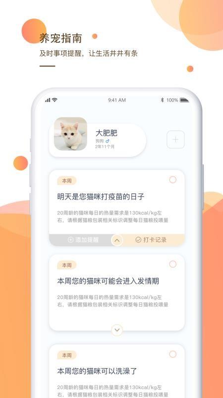 一只app下载,一只安卓版