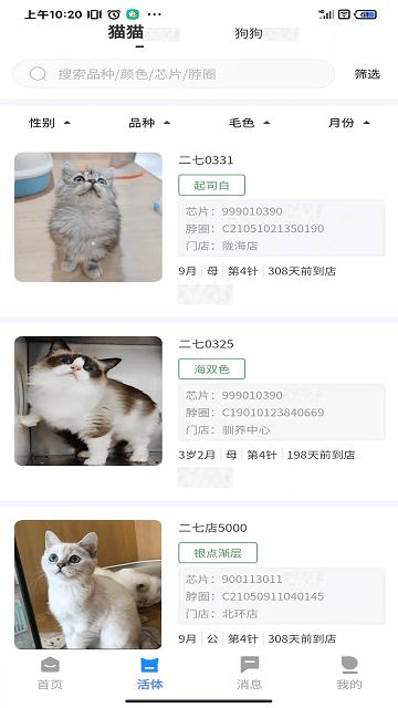 花生宠物企业版app下载,花生宠物,企业app,办公app